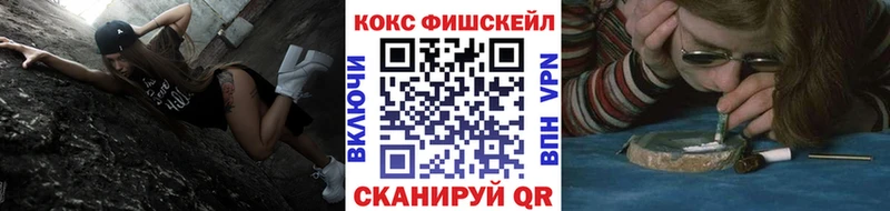 COCAIN Fish Scale Калязин