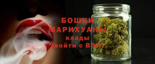 спайс Арсеньев