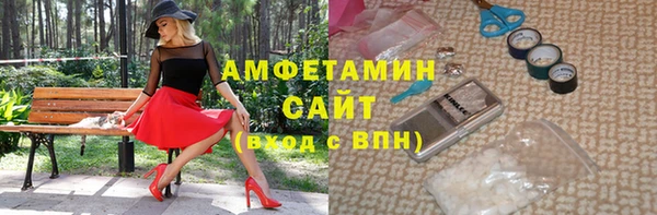 ешки Горняк